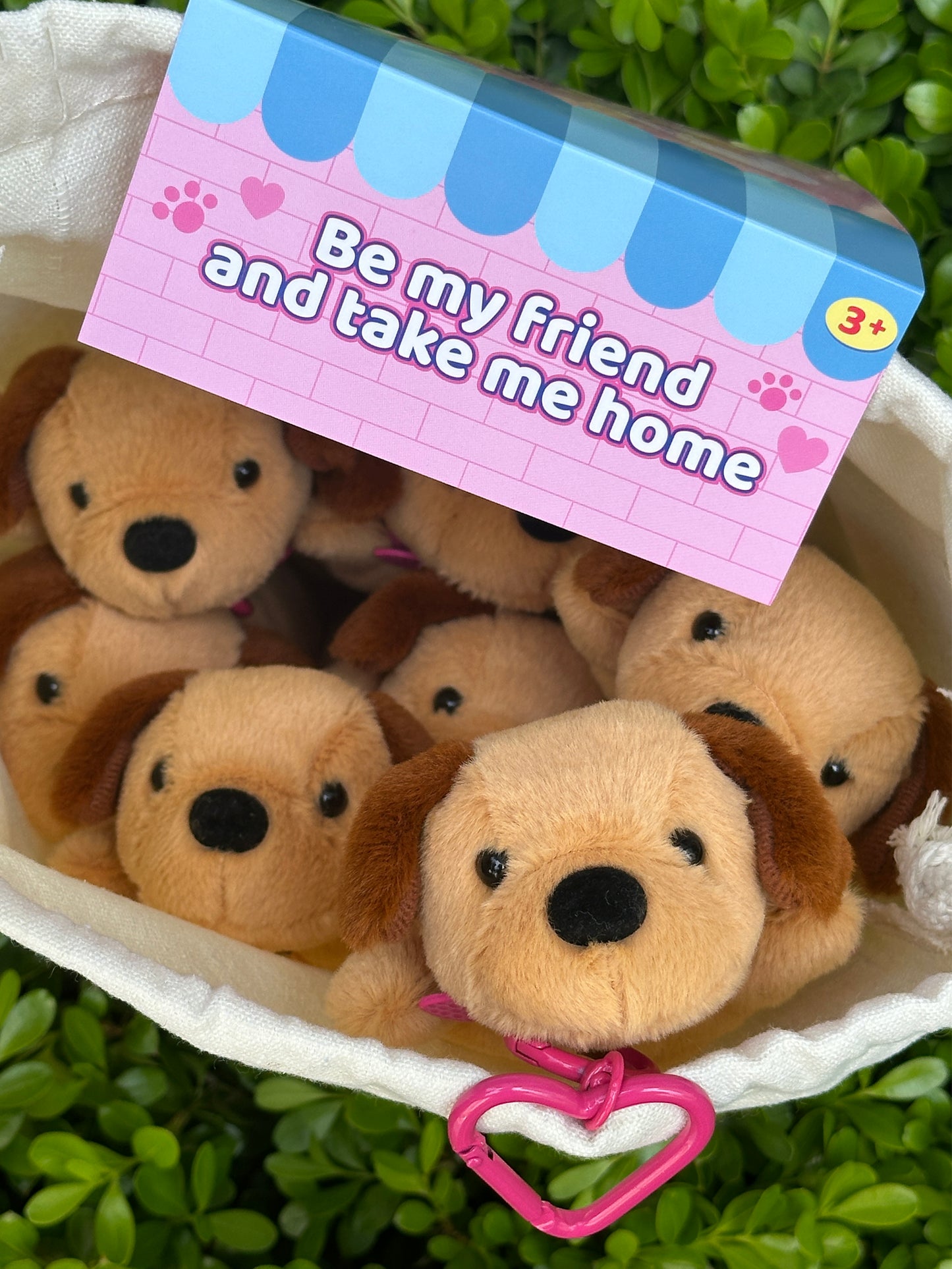 Puppy Coin Purse